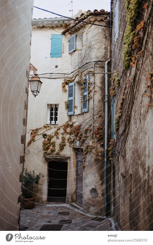 ramatuelle Town House (Residential Structure) Wall (barrier) Wall (building) Facade Window Door Old Poverty Cote d'Azur Alley Colour photo Exterior shot