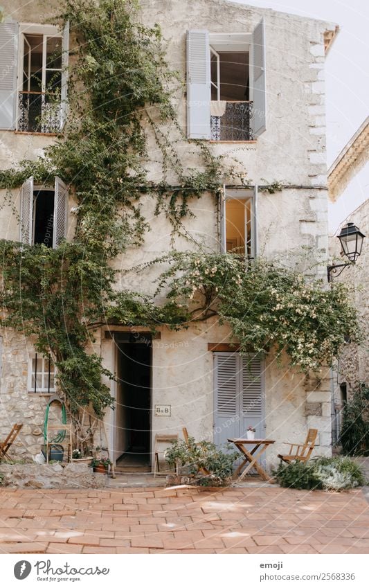Antibes House (Residential Structure) Dream house Ivy Village Detached house Wall (barrier) Wall (building) Facade Window Door Authentic Mediterranean
