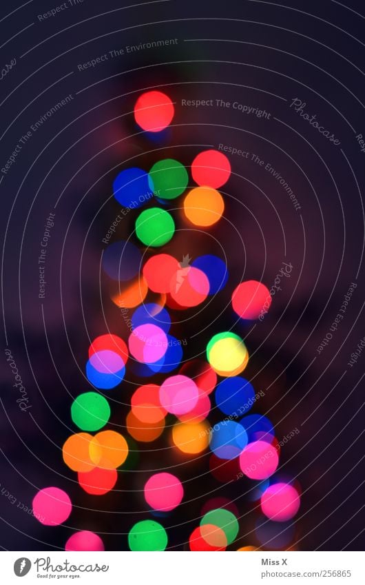 coloured dots Christmas & Advent Tree Illuminate Multicoloured Christmas tree Christmas fairy lights Light Electric bulb Christmas decoration Colour photo