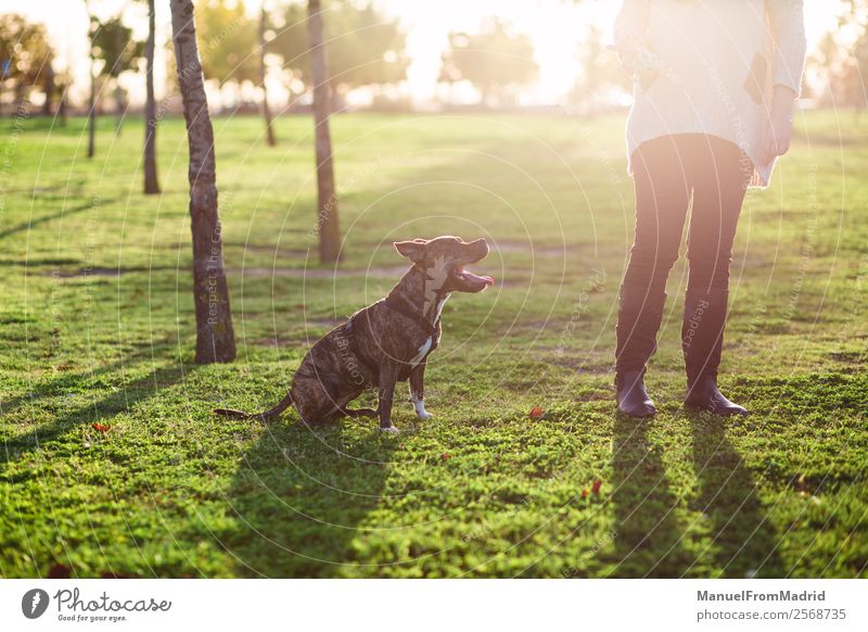 dog sitting next to an anonymous woman at a park Lifestyle Beautiful Woman Adults Friendship Animal Tree Park Pet Dog Sit Cute Optimism Safety (feeling of)