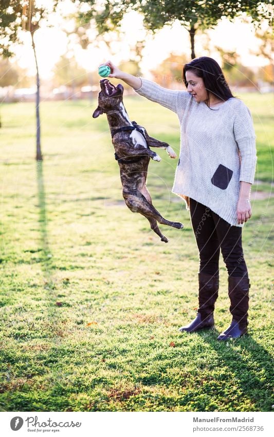 dog jumping and playing with a young woman Lifestyle Joy Happy Beautiful Playing Woman Adults Friendship Hand Nature Animal Grass Park Pet Dog Paw Smiling Jump