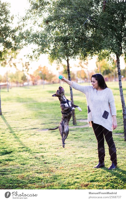 dog jumping and playing with a young woman Lifestyle Joy Happy Beautiful Playing Woman Adults Friendship Hand Nature Animal Grass Park Pet Dog Paw Smiling Jump
