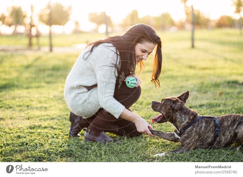 cheerful woman and dog shaking hand and paw Lifestyle Happy Beautiful Playing Woman Adults Friendship Hand Nature Animal Grass Park Pet Dog Paw Smiling Cute