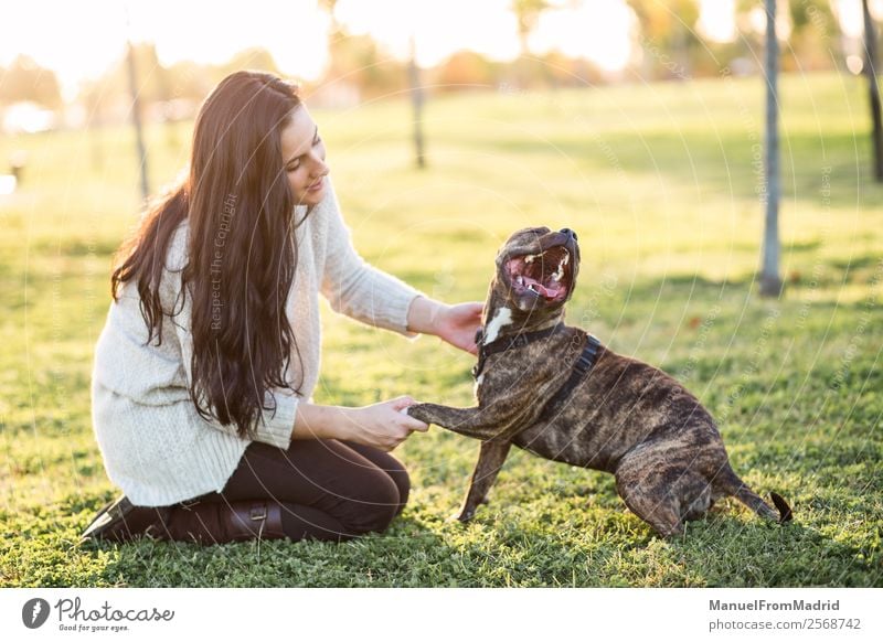 cheerful woman and dog shaking hand and paw Lifestyle Happy Beautiful Playing Woman Adults Friendship Hand Nature Animal Grass Park Pet Dog Paw Smiling Cute