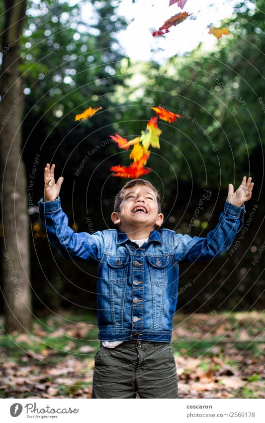Lovely boy surprised by some leaves falling in autumn Lifestyle Joy Happy Beautiful Playing Garden Child Human being Baby Toddler Boy (child) Infancy 1