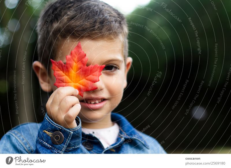 Cute boy shows a leaf in autumn in the forest Lifestyle Joy Happy Beautiful Face Playing Mountain Garden Education Child Human being Toddler Boy (child) Man