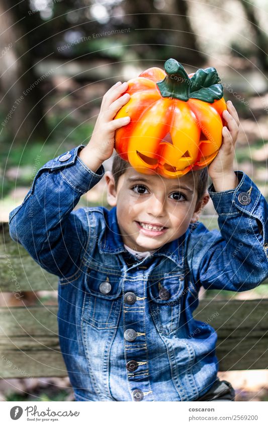 Little boy seated on a bench with a pumpkin on Halloween Lifestyle Joy Happy Beautiful Leisure and hobbies Feasts & Celebrations Hallowe'en Child Human being