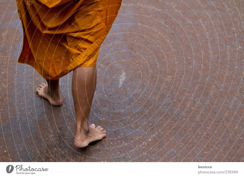 monk Monk Asia Thailand Buddha Temple Prayer Orange Monk's habit Feet Legs Buddhism Religion and faith Going Barefoot Ground Floor covering Love of nature