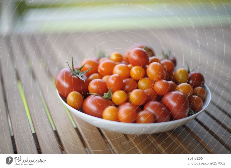 thanksgiving Food Vegetable Tomato Nutrition Organic produce Plate Lie Authentic Fragrance Yellow Green Red Warm-heartedness Uniqueness Elegant Table Bowl