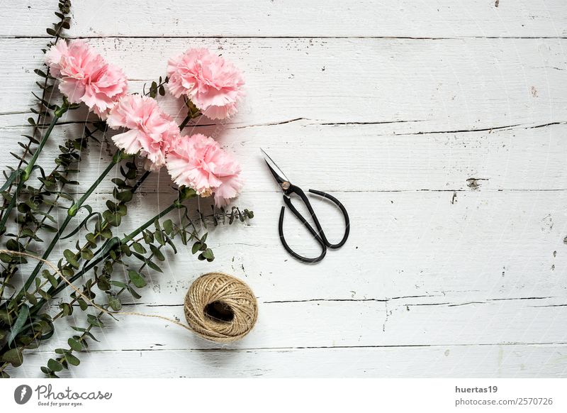 Flowers on white background. - a Royalty Free Stock Photo from Photocase