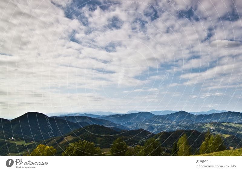 Heart wants to fly... Environment Nature Landscape Sky Clouds Summer Mountain Tall Vantage point Slovenia Far-off places Review Forest Beautiful Colour photo