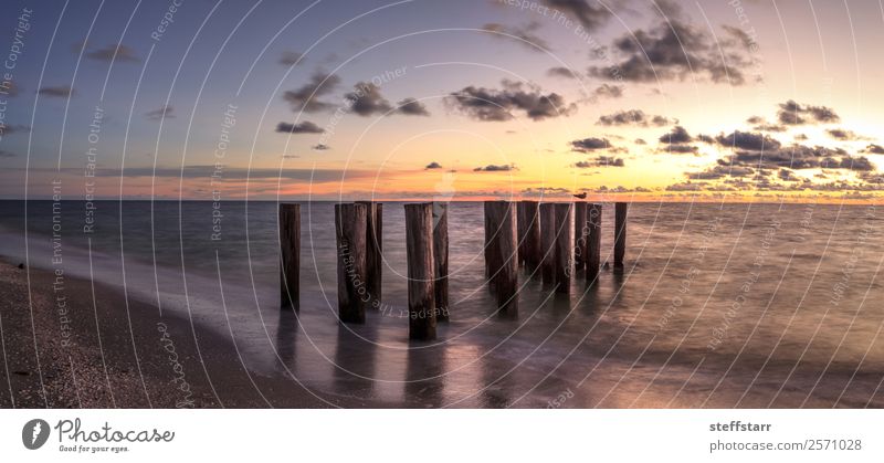 Dilapidated ruins of a pier on Port Royal Beach at sunset Ocean Waves Landscape Clouds Coast Ruin Blue Yellow Sunset Port Royal beach Dusk dilapidated calm