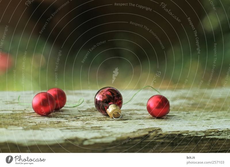 Ball bearing IV Living or residing Decoration Feasts & Celebrations Christmas & Advent Environment Nature Landscape Winter Kitsch Odds and ends Glittering Lie