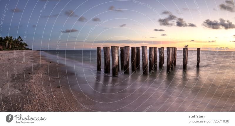 Dilapidated ruins of a pier on Port Royal Beach at sunset Ocean Waves Landscape Clouds Coast Ruin Blue Yellow Sunset Port Royal beach Dusk dilapidated calm