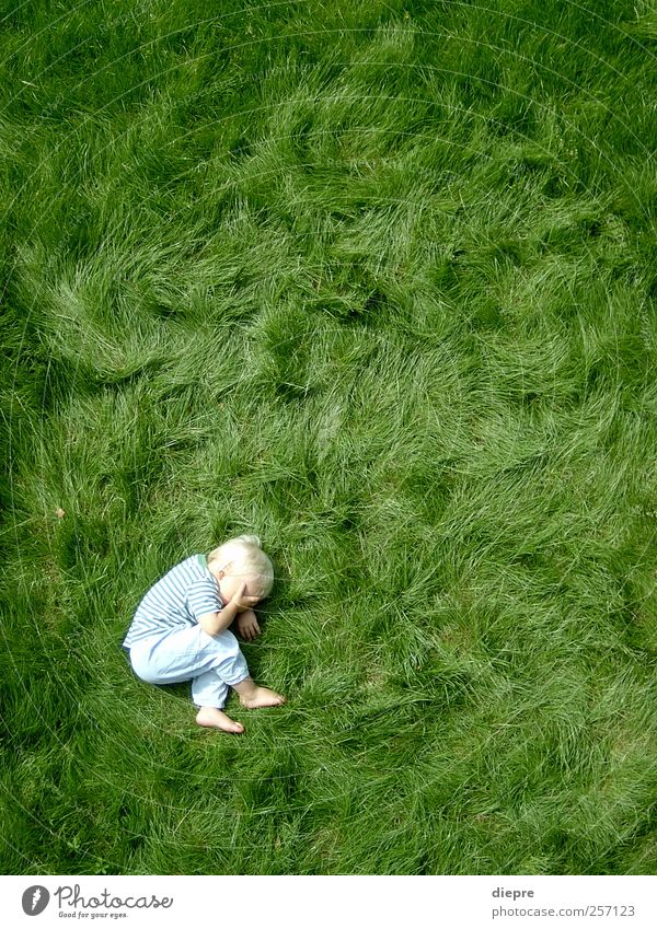 punktum Human being Masculine Child Toddler Boy (child) Infancy Body 1 3 - 8 years Blonde Natural Cute Green Moody Point Lie Grass Barefoot Grass surface