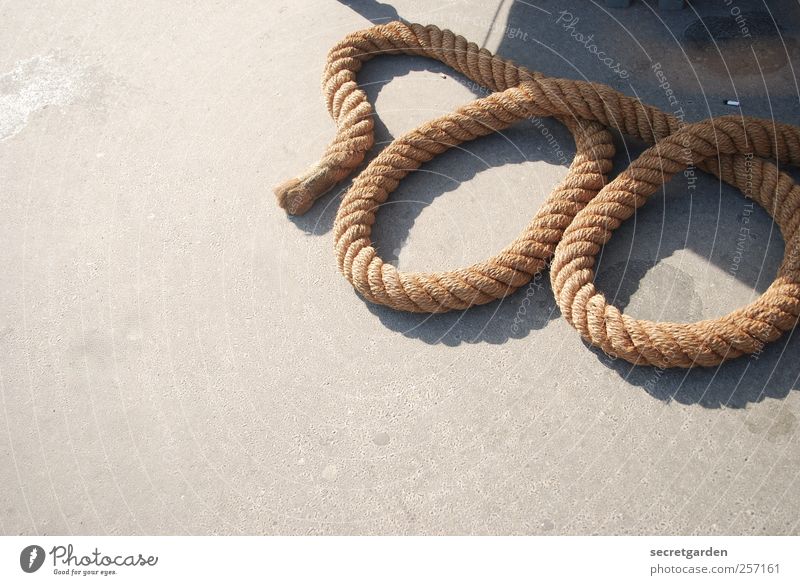 600 - Gordian knot Success Sailing Seaman Sailor Craft (trade) Rope Summer Beautiful weather Harbour Navigation Yacht harbour Concrete Sign Digits and numbers