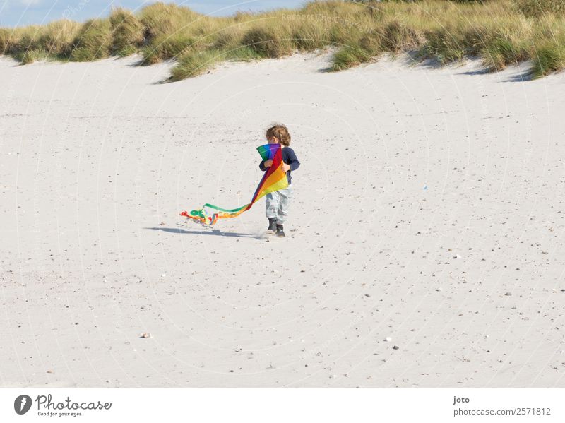 kite excursion Leisure and hobbies Playing Vacation & Travel Trip Summer vacation Child 1 Human being 1 - 3 years Toddler Wind Beach Beach dune Free Infinity
