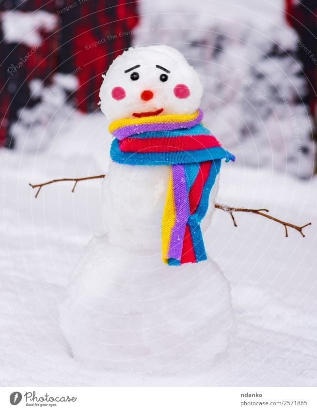 Free Images : cold, winter, frost, cute, weather, snowy, season, scarf,  outdoors, snowman, freezing, let it snow 5029x3352 - - 1193576 - Free stock  photos - PxHere