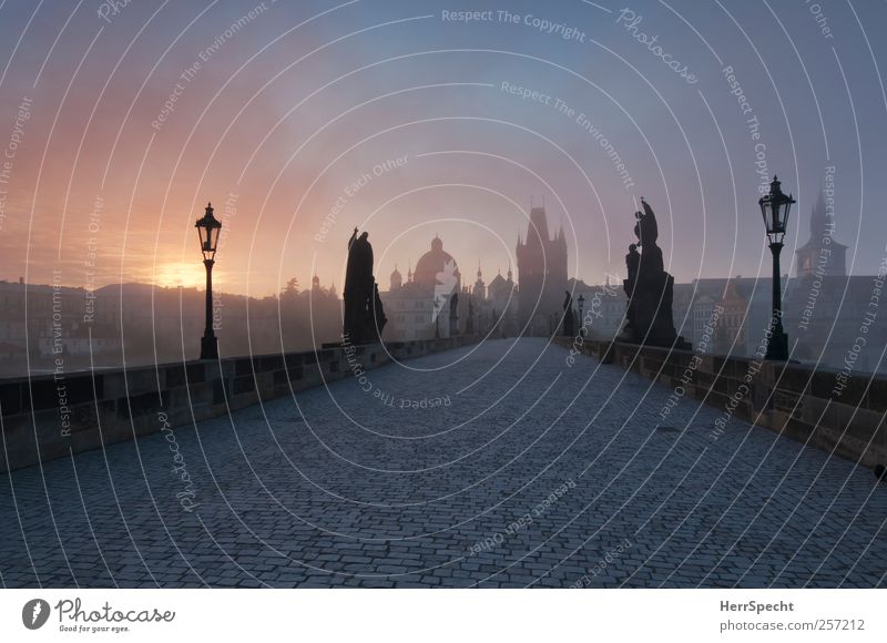 Just before Sunrise Prague Czech Republic Capital city Old town Bridge Tourist Attraction Landmark Monument Charles Bridge Blue Gray Fog Morning fog Mystic