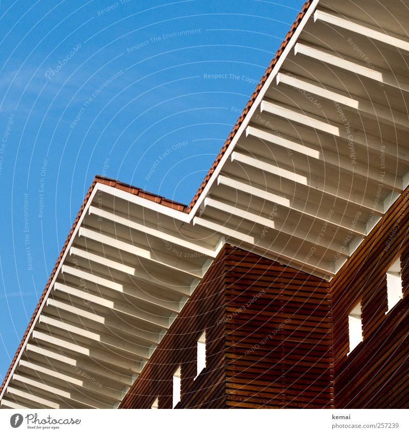 wooden house Cloudless sky Sun Sunlight Autumn Beautiful weather Detached house Manmade structures Building Architecture Wooden house Facade Window Roof