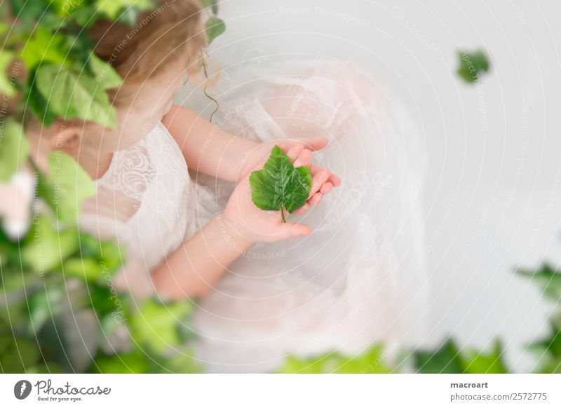 milk bath shooting Bathtub when shooting Ivy Leaf Toddler Girl Delicate Fairy Child Feminine lace dress Dress Tendril Green Plant Photo shoot