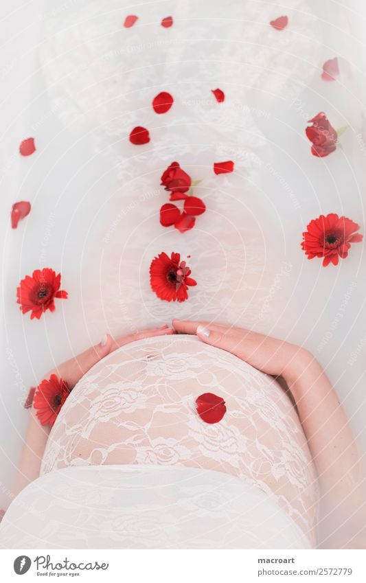 milk bath shooting Pregnant pregnancy shooting pregnancy photography Milk Rose Blossom Blossom leave Lace lace singing Baby Baby bump baby belly photography
