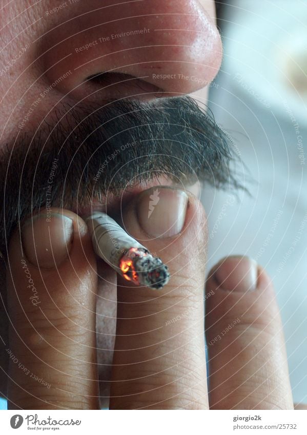 smoke Man Masculine Cigarette Unhealthy Moustache Facial hair Fingers Smoke Smoking Nose