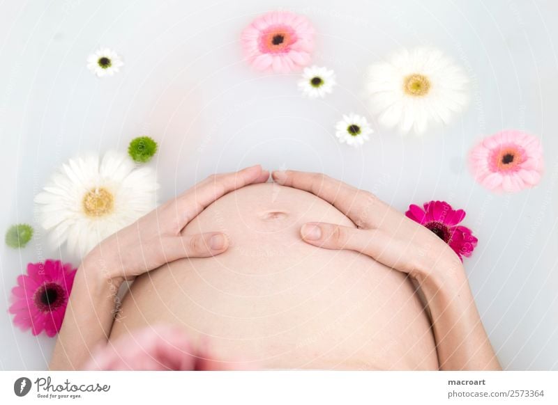milk bath shooting Pregnant pregnancy shooting Blossom leave Pink Woman Feminine Baby bump Stomach Swimming & Bathing Bathtub Photo shoot Naked nude