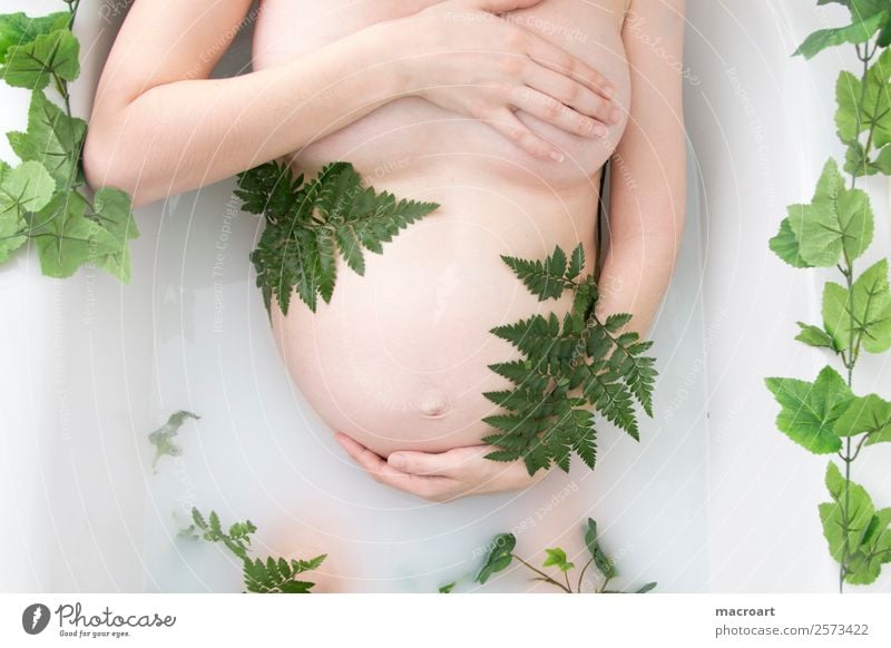 milk bath shooting Pregnant pregnancy shooting Ivy Leaf Green Woman Feminine Baby bump baby bump shooting Stomach Swimming & Bathing Bathtub Photo shoot Naked