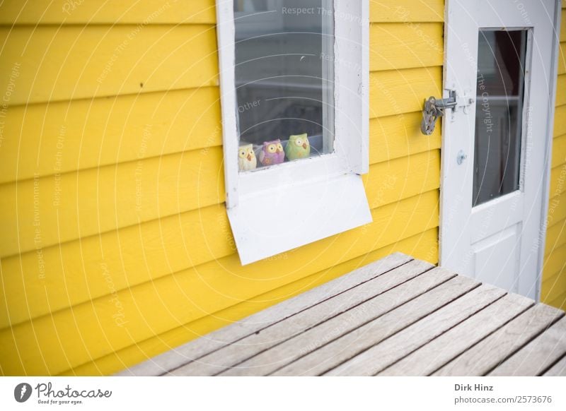 Beach house on the Danish island Ærø House (Residential Structure) Hut Wall (barrier) Wall (building) Facade Window Door Cute Yellow Owl birds Group of animals