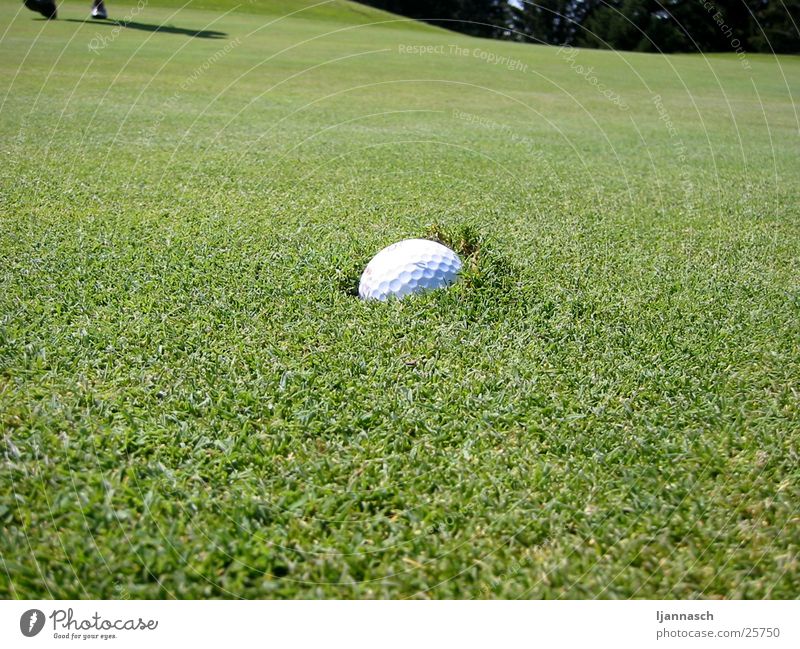Golf ball sunk Grass Sports pitch mark