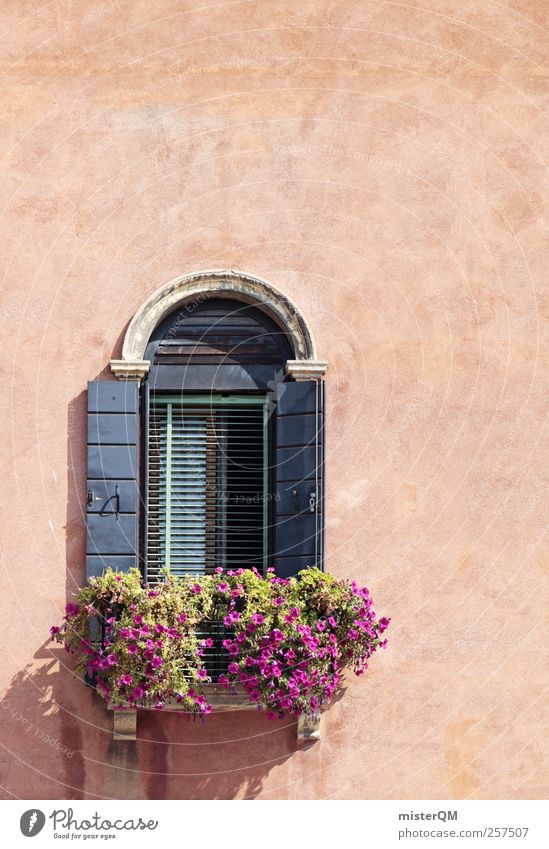 outlook. Art Esthetic Window Shutter Window board Window frame Window seat Flower House (Residential Structure) Italy Decent Loneliness Colour photo
