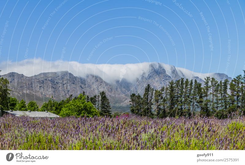 Clouds in Franschhoek South Africa Vacation & Travel Tourism Trip Adventure Far-off places Freedom Environment Nature Landscape Sky Summer Beautiful weather