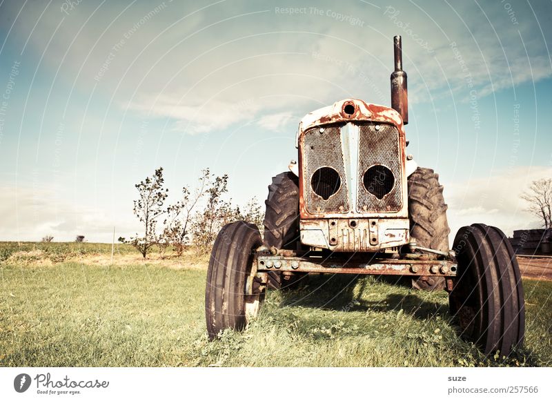 dregga Agriculture Forestry Environment Nature Sky Beautiful weather Meadow Tractor Rust Old Dirty Broken Transience Country life Vehicle Rubber tires Equipment
