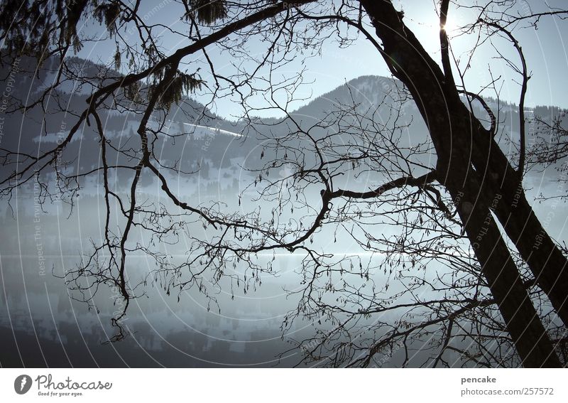 night space Environment Nature Landscape Water Sky Cloudless sky Sun Sunlight Winter Beautiful weather Fog Ice Frost Snow Tree Coast Lake Mountain lake Alps