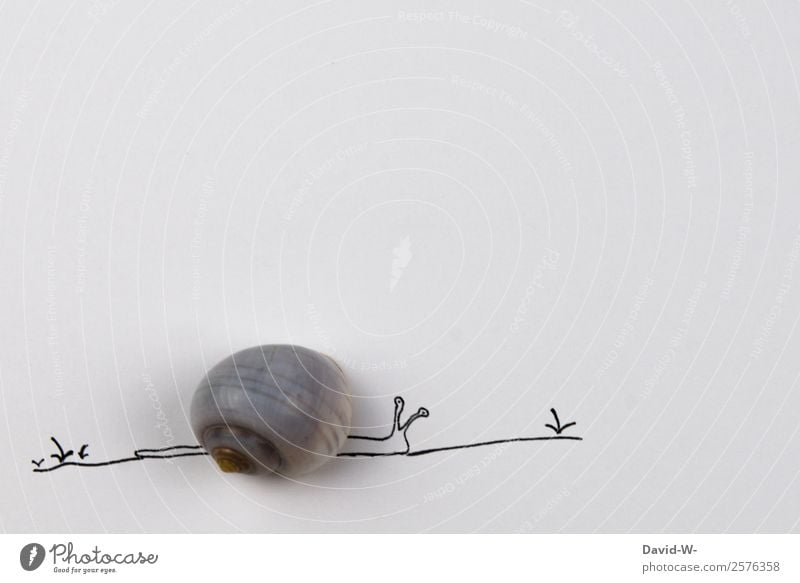 * pet* Art Environment Nature Spring Summer Beautiful weather Plant Animal 1 Crawl Snail Snail shell Slowly Calm Serene Time Drawing Self-made Creativity Funny