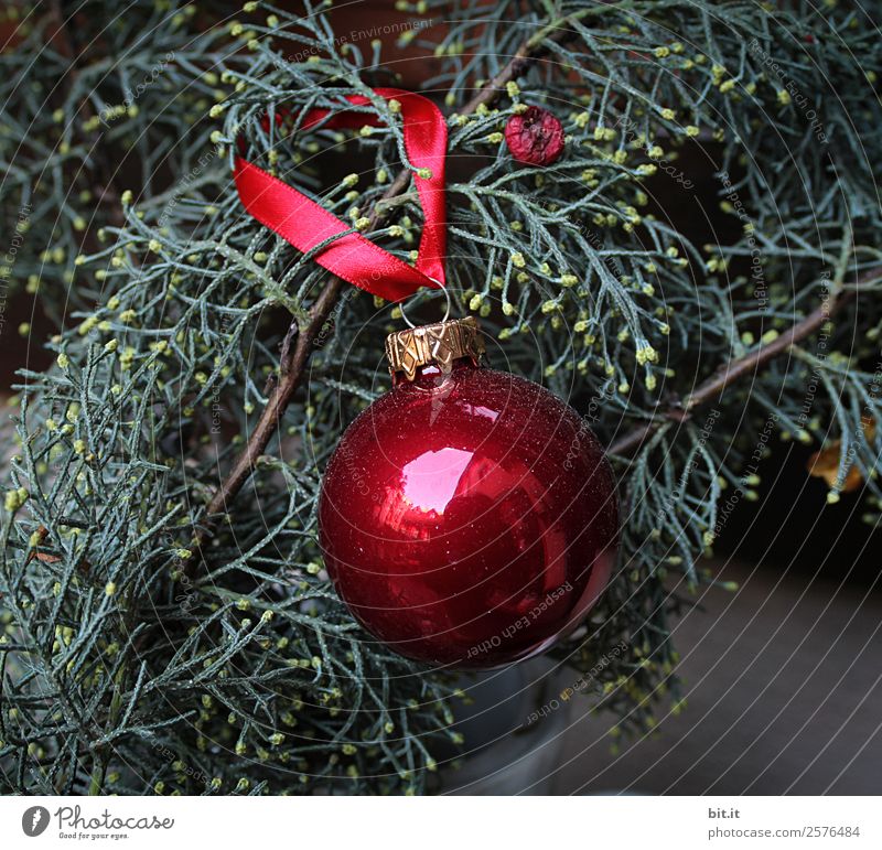 Nostalgic, festive Christmas decoration with delicate fir branches, red bauble and ribbon. Red Christmas bauble hangs shiny on branches. Glowing Christmas bauble hangs on branches in old, nostalgic, rustic style at home, homewards