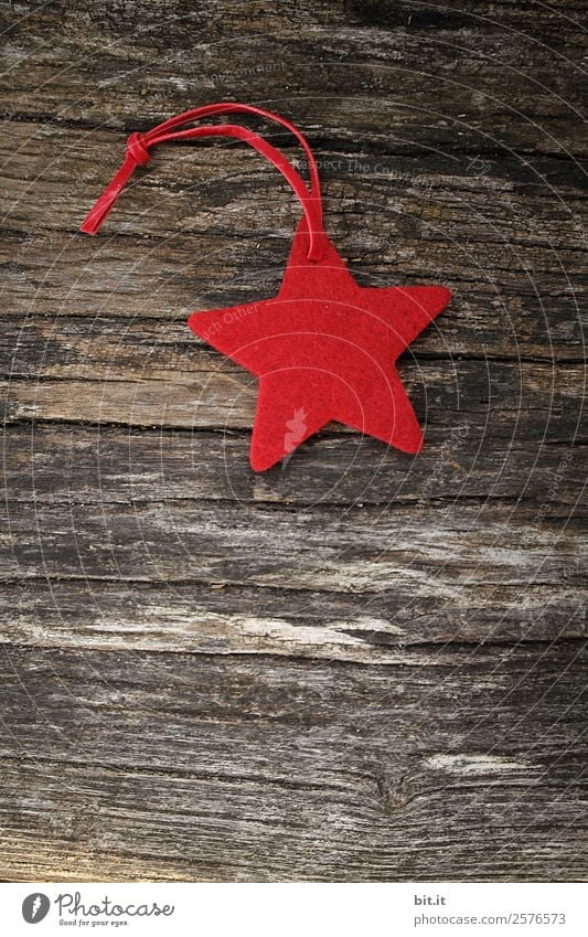 Merry Christmas, dears! Red star made of felt with plaid ribbon, lies on old wood. Red poinsettia, as decoration on rustic brown wooden board. Felt fabric star as a shield, Christmas tree pendant, gift tag for the Advent season.