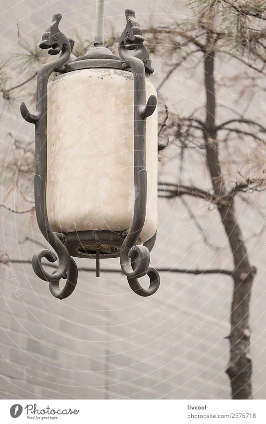 Chinese style street lamp in xian, china Decoration Lamp Art Architecture Nature Clouds Fog Tree Park Monument Street Line Hang Historic Beautiful Gray