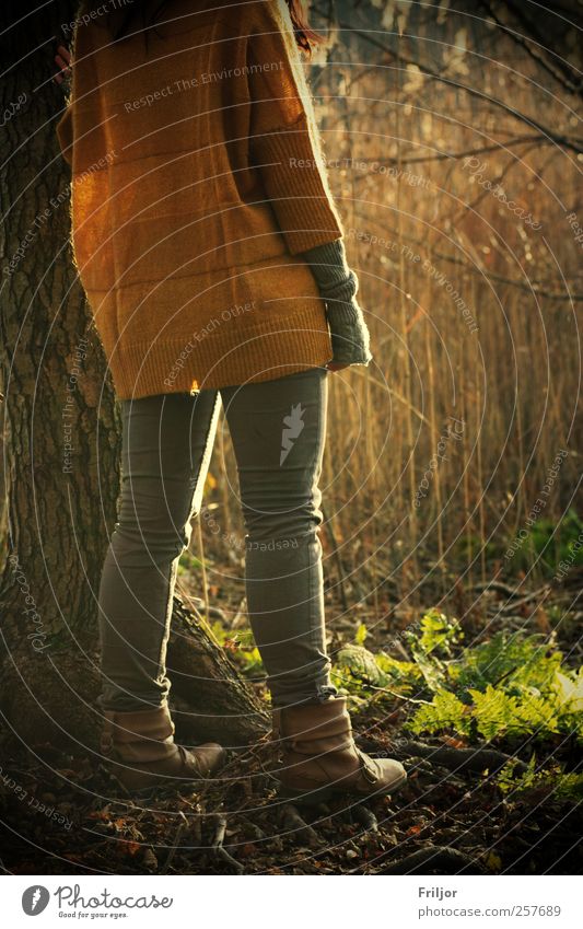 A day at the lake Human being Feminine Young woman Youth (Young adults) Woman Adults Friendship Back Legs 1 18 - 30 years Nature Plant Earth Water Sunlight