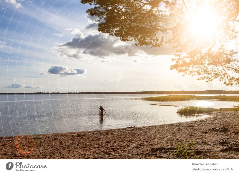 Baltic Sea in North Sweden Vacation & Travel Far-off places Freedom Camping Summer Summer vacation Beach Ocean Human being Feminine Woman Adults Elements Water