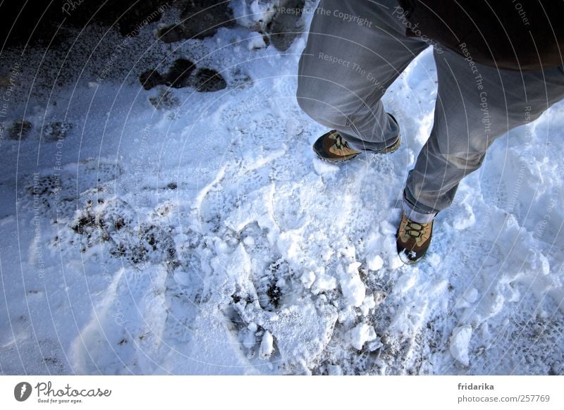 snow trail Hiking Human being 1 Nature Winter Ice Frost Snow Pants Jeans Footwear Hiking boots Going Stand Cold Blue Gray White Adventure Colour photo