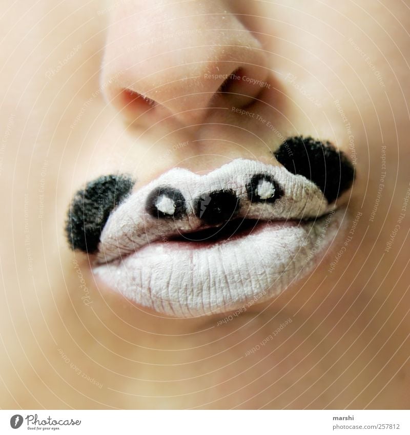 Give me bamboo! Human being Skin Mouth Lips Teeth Animal Animal face 1 Black White Panda Make-up Painted Carnival Endangered species Nose Hide