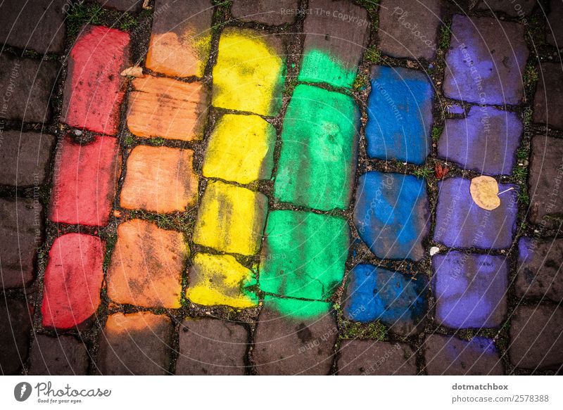 tolerance Town Places Cobblestones Stone Sign Flag Together Blue Yellow Green Violet Orange Red Emotions Acceptance Love Humanity Solidarity Tolerant Fairness