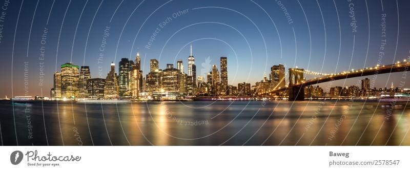 Panorama of Manhattam at sunset. Night sky River Downtown Skyline High-rise Bridge Building Architecture Blue Colour america lighting blue hour Brooklyn Bridge