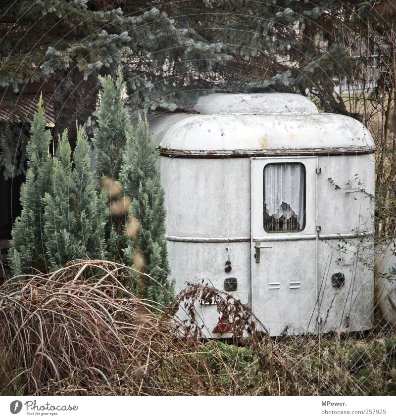 New tenant wanted Hut Old Poverty Caravan Tree Forest Individual Car door Flat (apartment) Bushes Coniferous forest Sparse White Dirty Camping Camping site