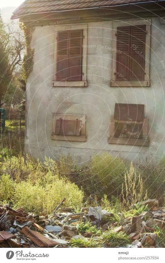 sunny Environment Nature Garden House (Residential Structure) Detached house Hut Wall (barrier) Wall (building) Facade Window Old Warmth Derelict Colour photo