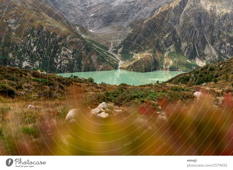 Göscheneralpsee Leisure and hobbies Class outing Environment Nature Landscape Clouds Autumn Climate Weather Mountain Lake River Exceptional Natural Green