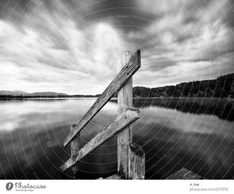 Lake Moor III Nature Landscape Water Sky Clouds Autumn Forest Alps Mountain Lakeside Swimming & Bathing Observe Think Far-off places Free Gray Black White