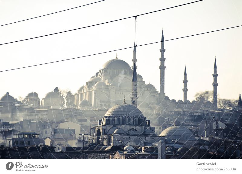 Süleymaniye Camii Town Downtown Skyline Manmade structures Building Tourist Attraction Old Mosque Smoke Minaret Domed roof Istanbul Turkey House of worship
